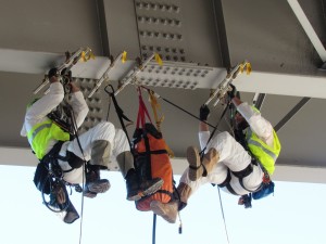 Rick and Jake performing a bird nest removal under Davidson Canyon Bridge   